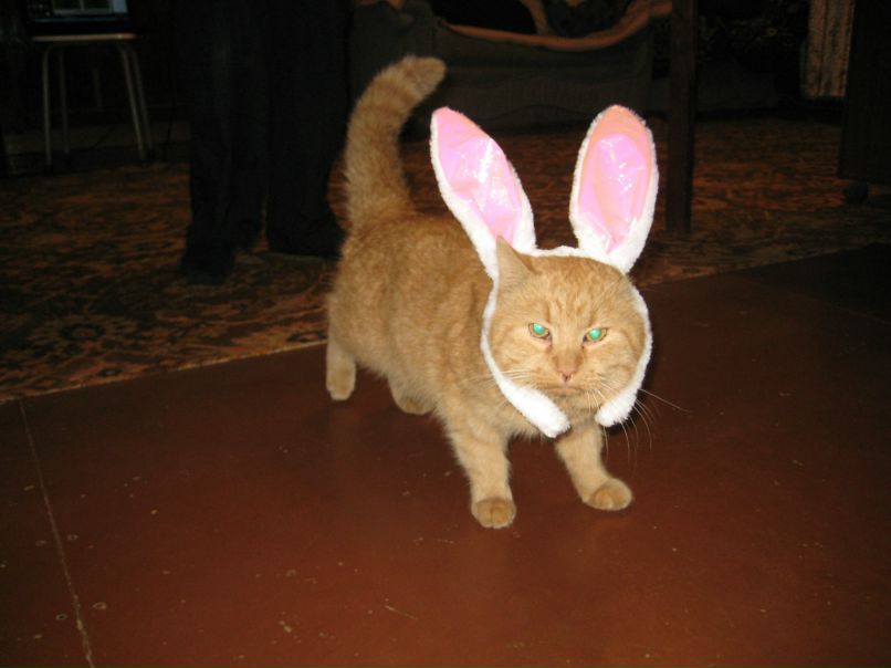 Сергей Озолин фотография #16