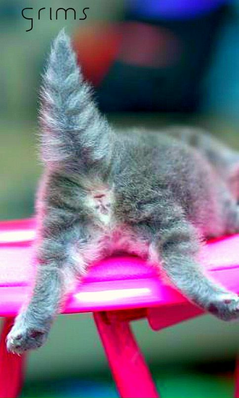 Владислава Граймс фотография #39