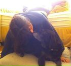 Софья Мадьярова фотография #28 (источник - https://vk.com/id378551)