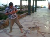 Фотография Mcdowel Pibody