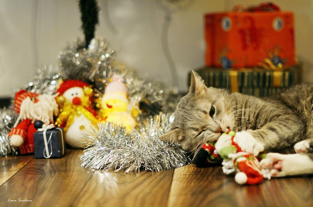 Сима Угарова фотография #39