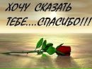 Фотография Светличной Светланы