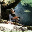 Віктор Ситарчук фотография #2 (источник - https://vk.com/id18895328)