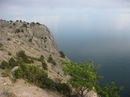 Іра Данкевич фотография #32 (источник - https://vk.com/id124341557)