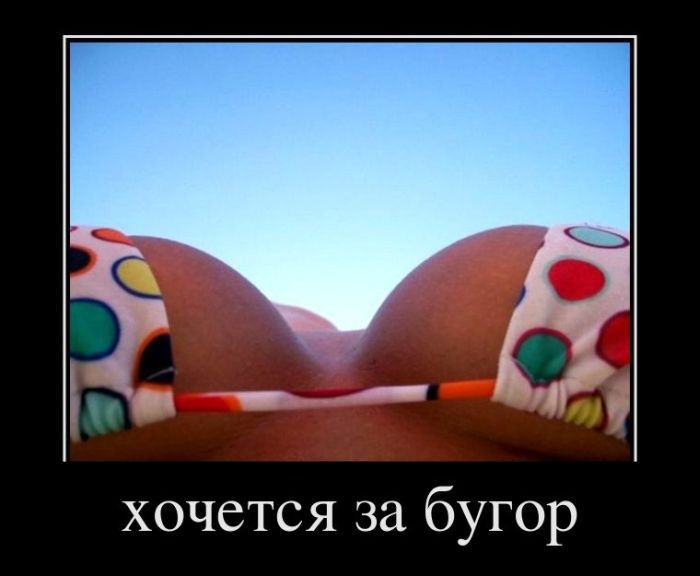 Вел Вел фотография #49