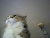 Фотография Долгого Сергея