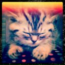 Фотография Прокофьевой Анны