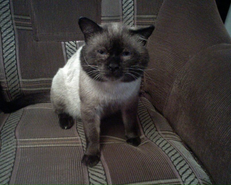 Александр Терехов фотография #15