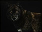 Фотография Л Елены