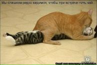 Фотография Прасалова Андрея