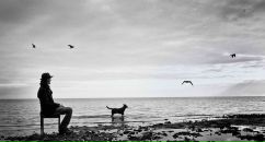 Фотография Соколенко Алексея