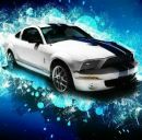 Фотография Пивоварова Руделя