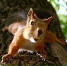 Марія Чугунна фотография #36 (источник - https://vk.com/id21160619)