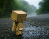 Фотография Минаевой Мирославы