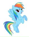 Rainbow Dash фотография #4 (источник - https://vk.com/id160507519)