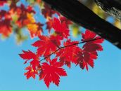 Фотография Китаевой Татьяны