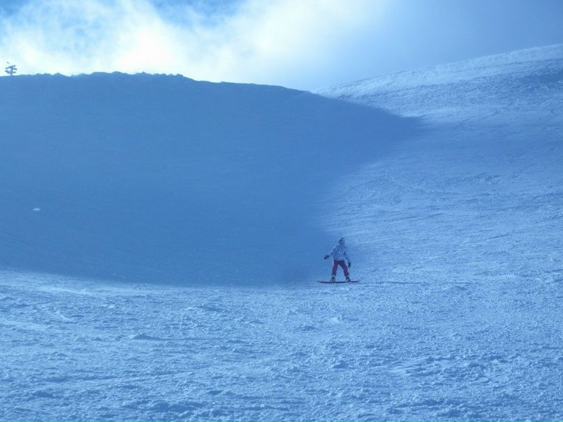 Darry Di фотография #32