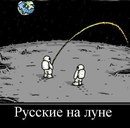 Ёрик Мандаринка фотография #10 (источник - https://vk.com/id161525067)