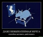 Фотография Ежова Максима