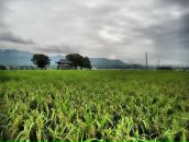 Степан Туляков фотография #2 (источник - https://vk.com/id640944)