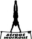 Street Workout фотография #50 (источник - https://vk.com/id165250677)