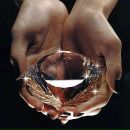 Віталій Багрій фотография #30 (источник - https://vk.com/id100196532)