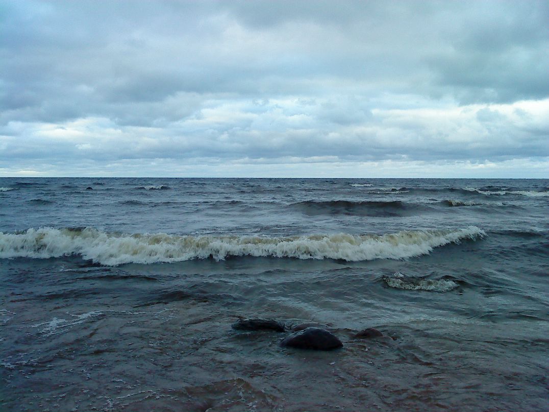 Владимир Плотников фотография #31