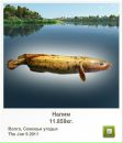 Марія Москаль фотография #46 (источник - https://vk.com/id76916889)