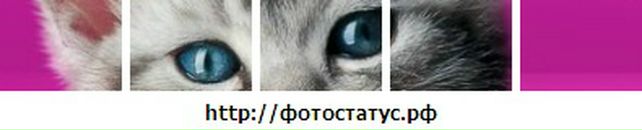 Вика Третьякова фотография #13 (источник - https://vk.com/id808294)