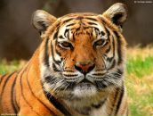 Фотография Белова Анатола