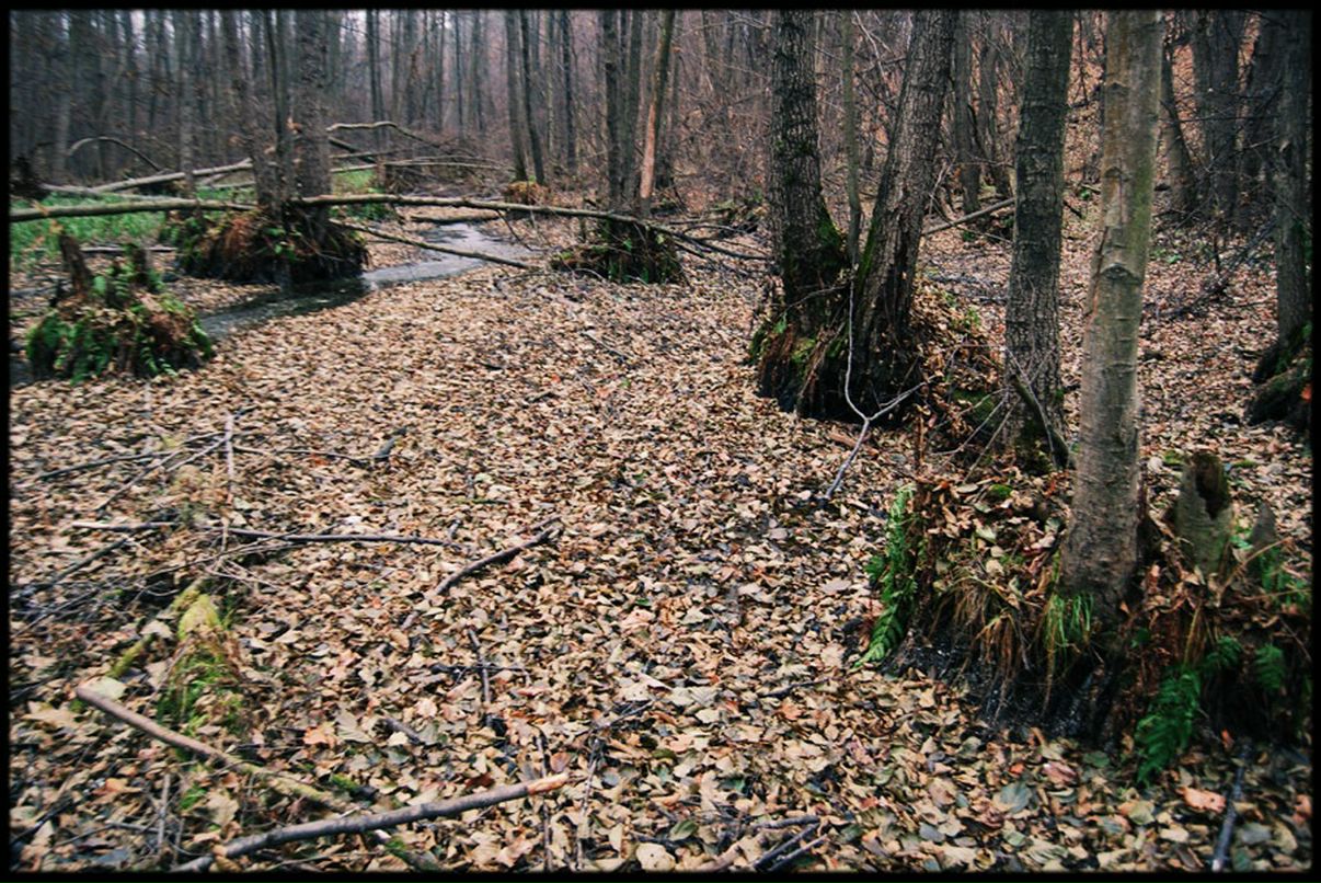 Саша Тарасенко фотография #13