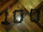 Саша Шульган фотография #41 (источник - https://vk.com/id93889657)