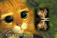 Богдан Сітарський фотография #10 (источник - https://vk.com/id64854310)