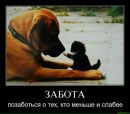 Фотография Зартдинова Руслана