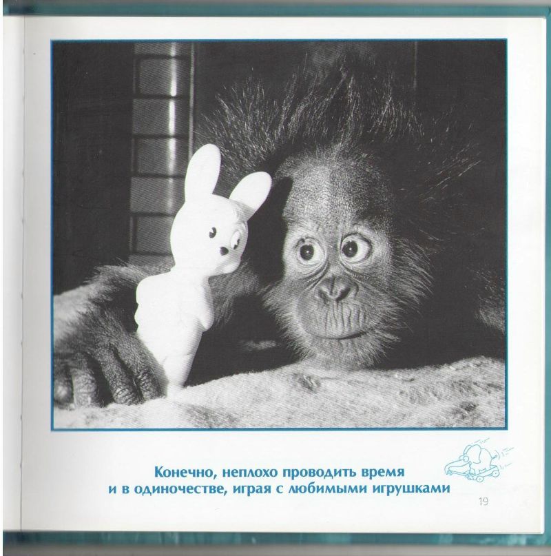 Роман Сербененко фотография #42