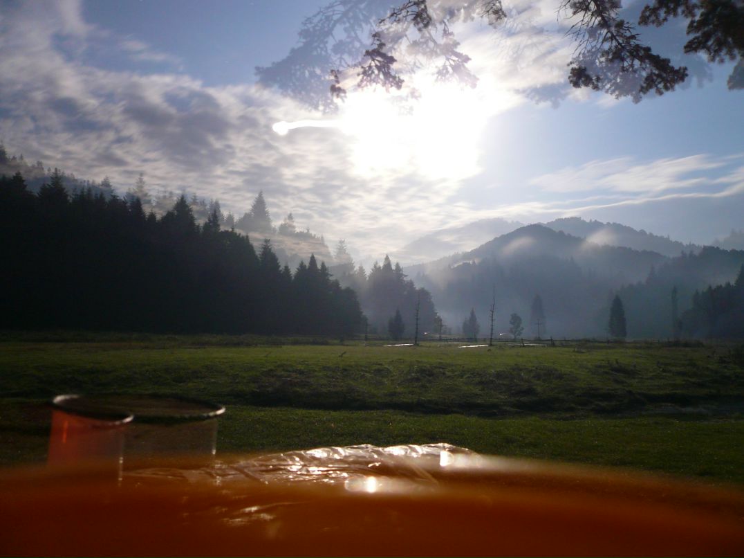 Саша Андреев фотография #47