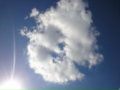 Фотография Лукичёвой Елены