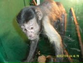 Фотография Майорова Антона