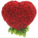 Віка Єзерська фотография #17 (источник - https://vk.com/id171597288)