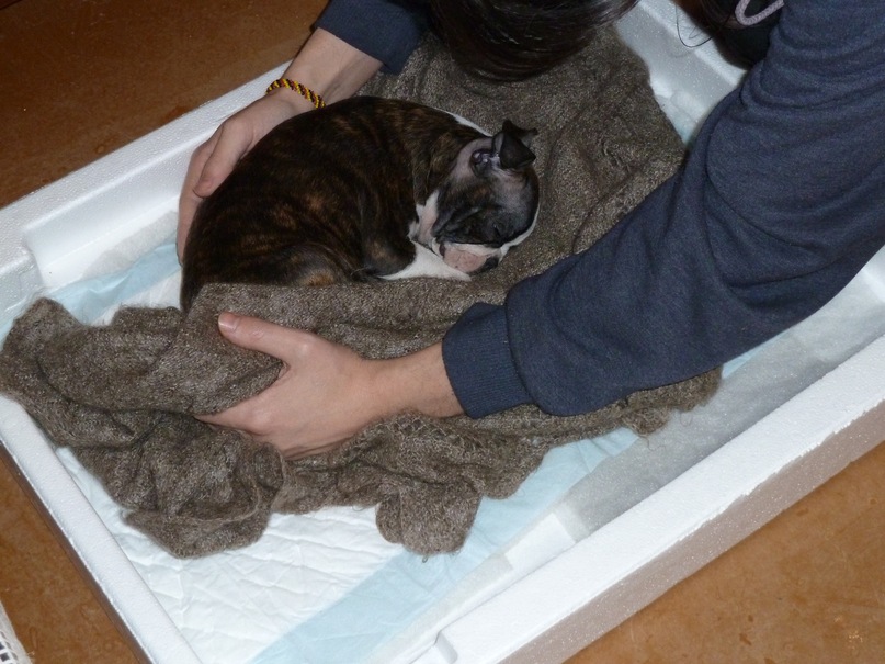 Дмитрий Павличенко фотография #37