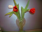 Фотография Голубевой Елены