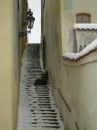 Фотография Аккерман Ленка