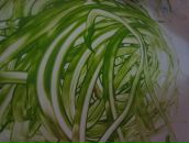 Фотография Acid Mara