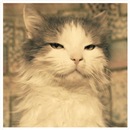 Фотография Лабазова Артёма