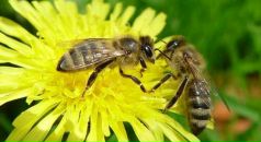 Руслана Мацієвич фотография #21 (источник - https://vk.com/id108247773)