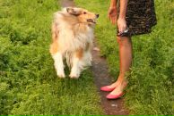 Фотография Верти Арины