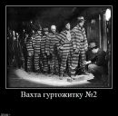 Дімич Аббасов фотография #38 (источник - https://vk.com/id25399294)