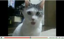 Фотография Талановой Настасьи