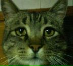 Фотография Дубовцева Дмитрия