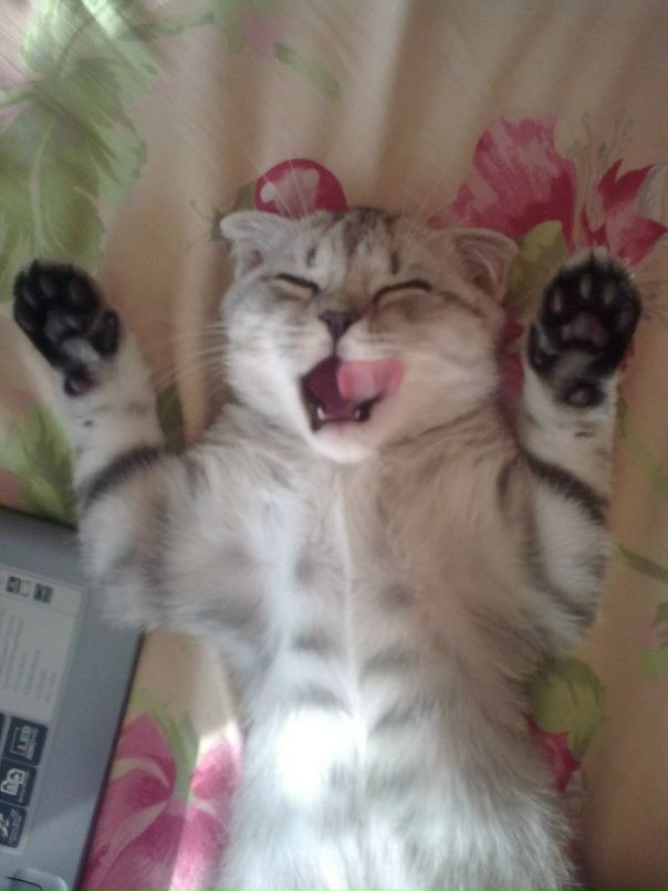 Сергей Данильченко фотография #35